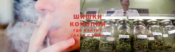PSILOCYBIN Няндома